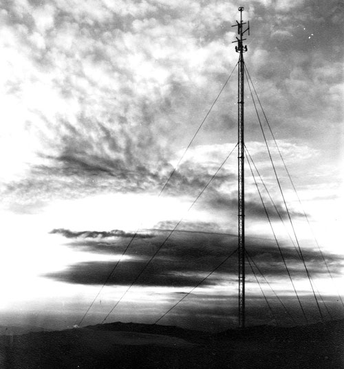 Imagen de la antena desde la que emitía RadioRonda, estaba colocada en los quejigales de la Sierra de las Nieves
