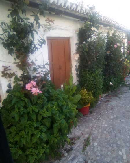 Vista del patio 