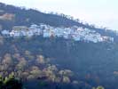 Pujerra